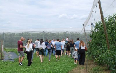 Feldgespräche auf dem Obsthof – Ein Dialog zwischen Landwirtschaft, Gastronomie und Kita-Küche