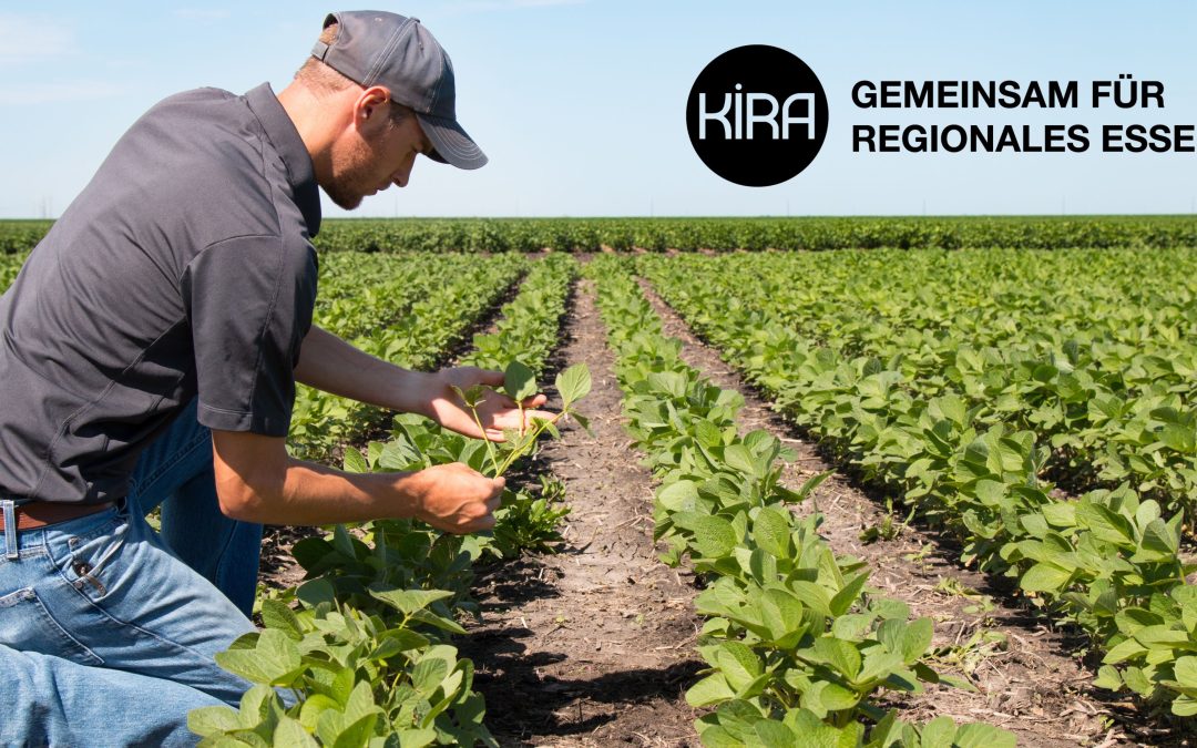 Stellenausschreibung für eine Vertretung in Mutterschutz und Elternzeit als Projektkoordination (m/w/d)