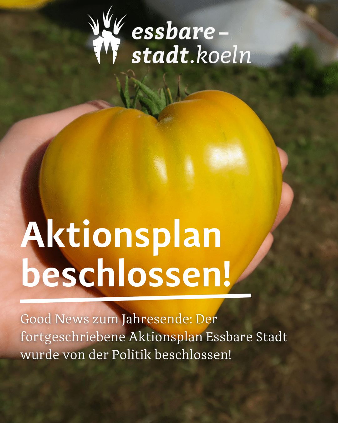 Eine Hand, die eine gelbe, herzförmige Tomate hält. Darauf der Text: Aktionsplan beschlossen!