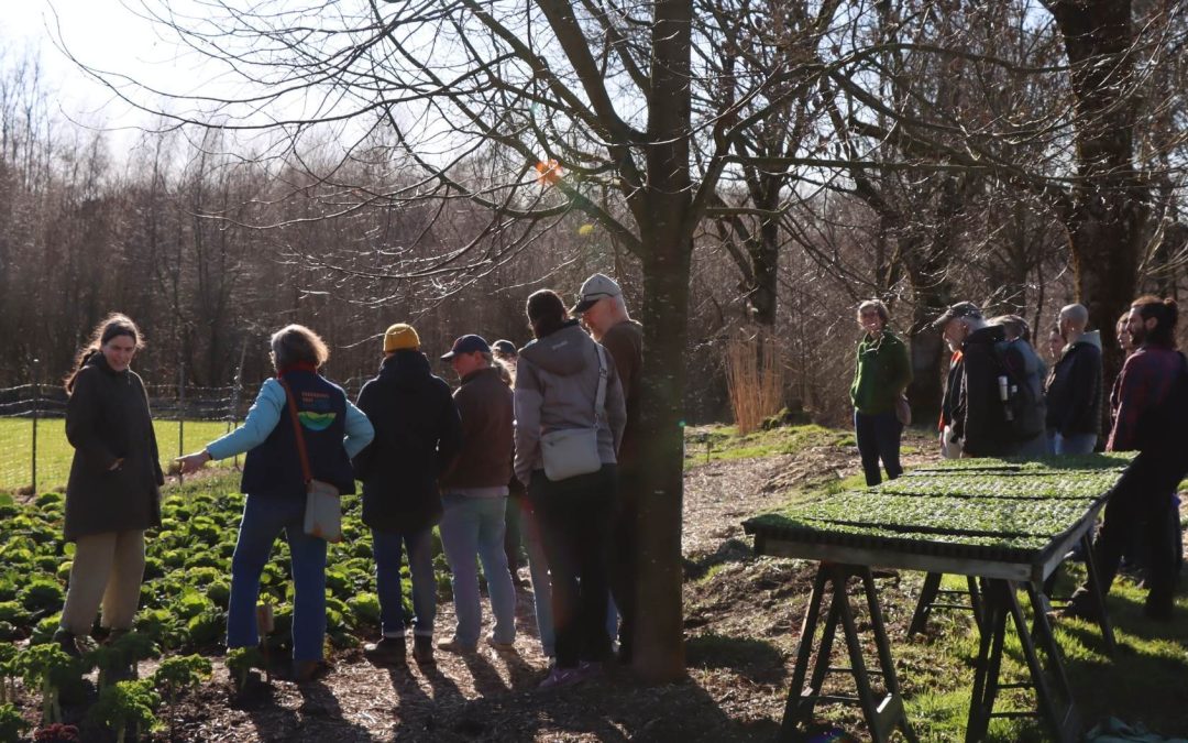 Direktvermarktung an Kitas & Großküchen – lohnt sich das?